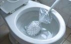 Escobilla del baño y bolsa de plástico
