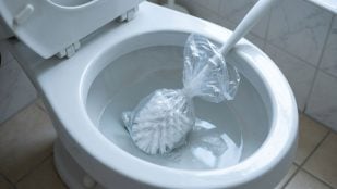 Escobilla del baño y bolsa de plástico