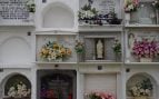 flores Todos los Santos