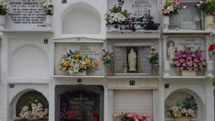 flores Todos los Santos