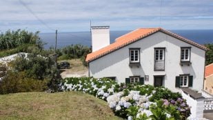 ivir gratis en un bungalow al lado del mar