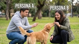 Imagen generada por IA.