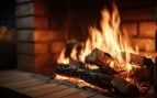 La madera que conserva las brasas durante más tiempo: esta leña proporciona un 10 % más de calor