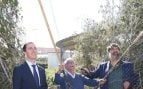 Mallorca caza