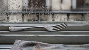 Tenedor ventana otoño