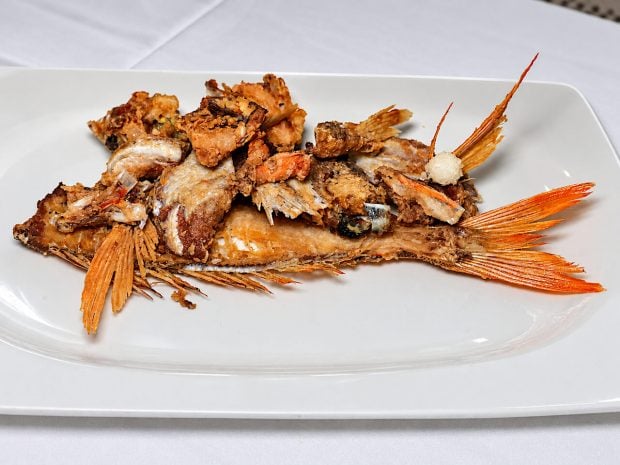 Chinchín Puerto nacho sandoval malaga