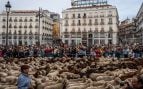 acampada-sol-trashumancia