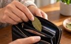 Guardar una hoja de laurel seca en la cartera