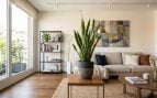 Plantas