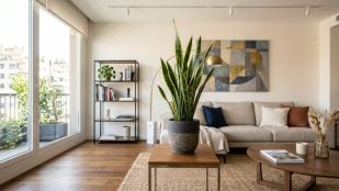 Plantas