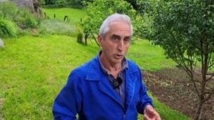 Manuel, ganadero asturiano