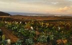 vivir gratis en su finca de Lanzarote