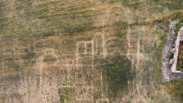 Vista cenital tomada con dron en la que las marcas del cereal dibujan los muros de las estancias de la villa romana Santa Inés II, en Bernardos (Segovia). Foto: Proyecto Eresma Arqueológico (vía Instagram @eresma_arqueologico y @arqueourjc)