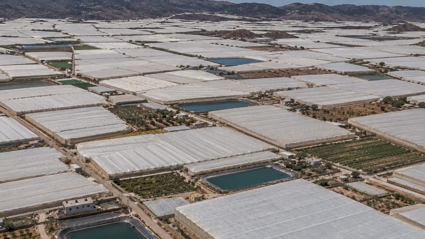 Planas ignora a los agricultores: rechaza bajar el IRPF a los plásticos mientras su precio roza máximos históricos