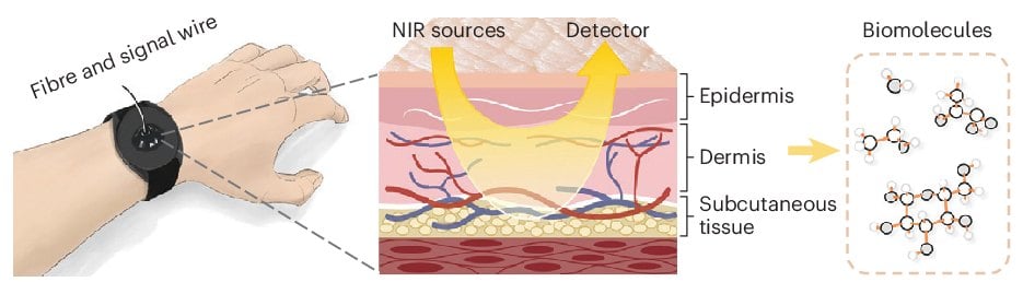 Esquema de la sonda de muñeca del espectrómetro: la luz infrarroja entra en la piel, atraviesa epidermis, dermis y tejido subcutáneo y vuelve al detector