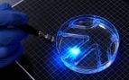 Robot con músculo vivo del MIT guiado con luz azul por un laberinto dentro de una placa de Petri con agua