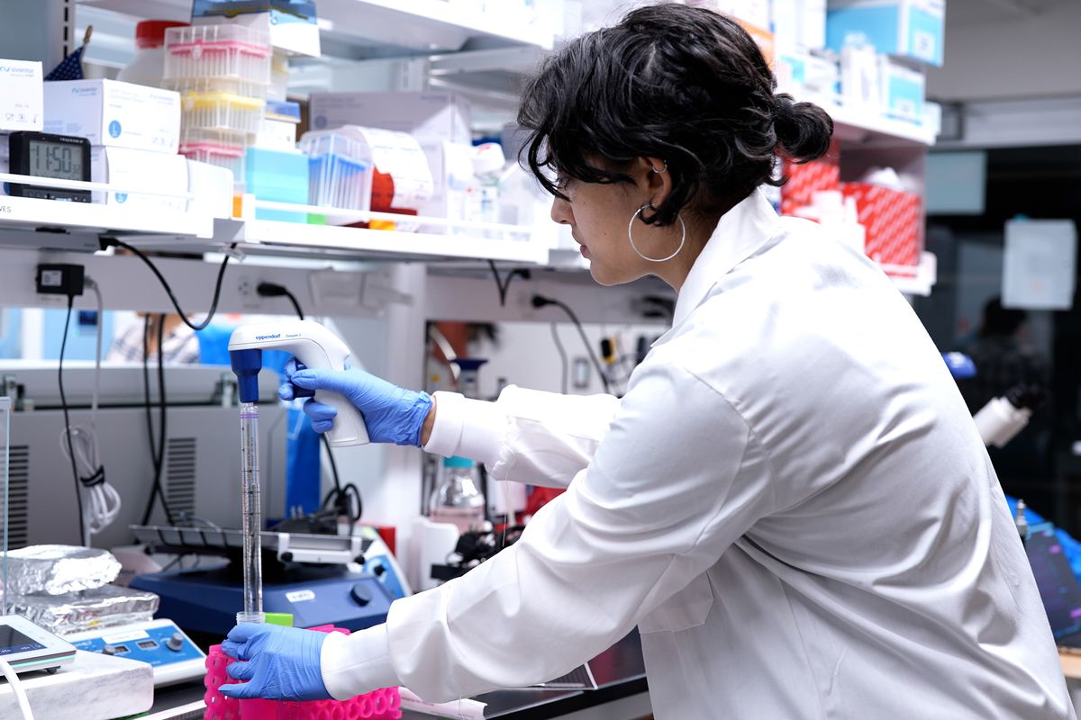 Maheera Bawa, estudiante de posgrado del laboratorio de Ritu Raman, trabaja con una pipeta en el laboratorio del MIT