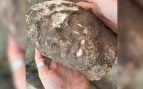 Una arqueóloga sostiene la cabeza de piedra del dios Mitra hallada en Novae. Foto: Krzysztof Narloch / Universidad de Varsovia