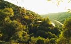 vivir gratis en una finca ecológica andaluza