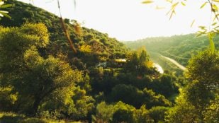 vivir gratis en una finca ecológica andaluza
