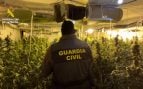 Detenidas 15 personas en dos operaciones para desmantelar plantaciones de Marihuana cerca de Toledo