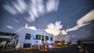 santuario con más de 200 animales en Lanzarote