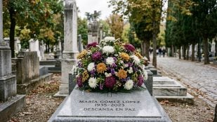 Crisantemos 1 de noviembre