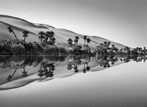 Sebastião Salgado