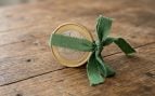 Se insta a los españoles a envolver una moneda de 1 euro con un lazo verde antes del 1 de noviembre: para qué sirve y cómo hacerlo