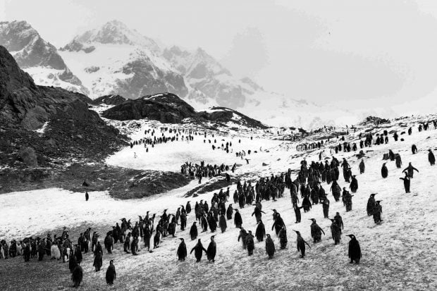 Sebastião Salgado