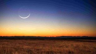 Luna nueva