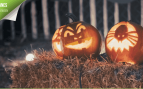 planes halloween 2026
