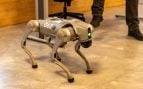 Los albañiles pueden tener los días contados: el robot con forma de araña capaz de construir casas de 200 metros cuadrados en menos de un día