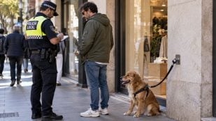 La Ley de Bienestar Animal lo confirma y conlleva multa