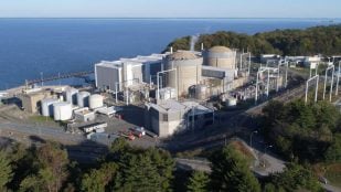 Vista aérea de la central nuclear de Calvert Cliffs, en Maryland, junto a la bahía de Chesapeake, una de las ocho plantas del préstamo condicional para repotenciar centrales nucleares