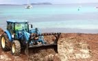 Posidonia Ibiza