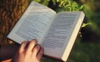 Recomendaciones literarias de la semana.