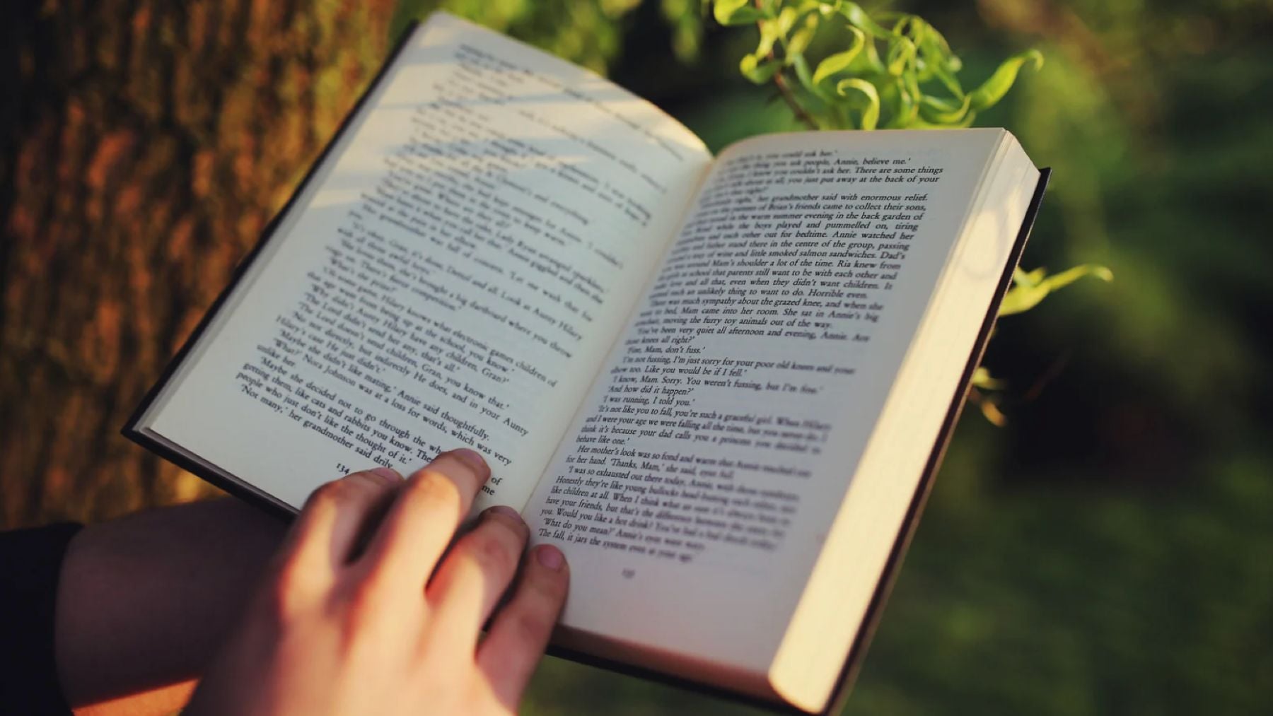 Recomendaciones literarias de la semana.
