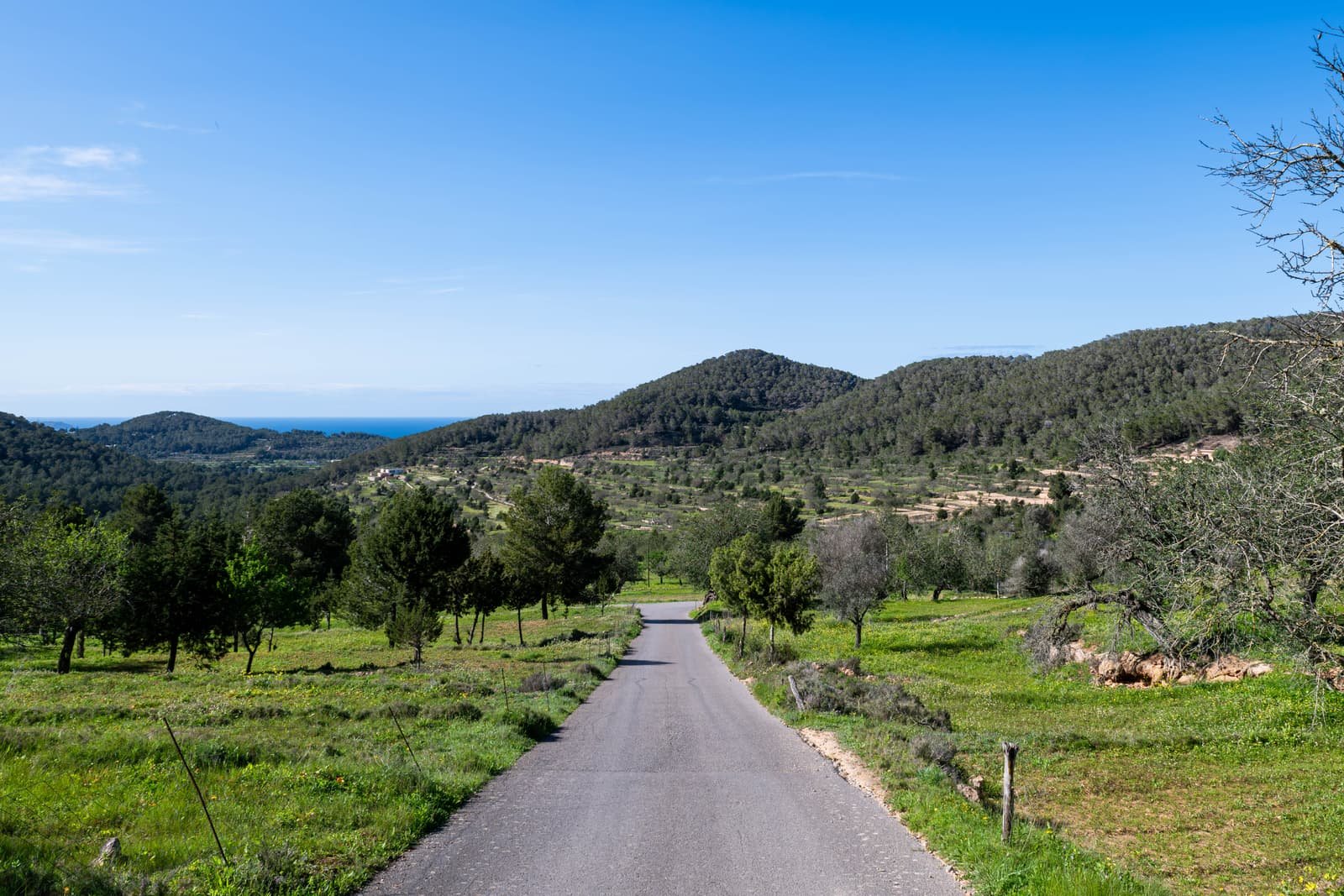 Ibiza ha dado un paso decisivo hacia la sostenibilidad. FOTO: Ibiza Travel