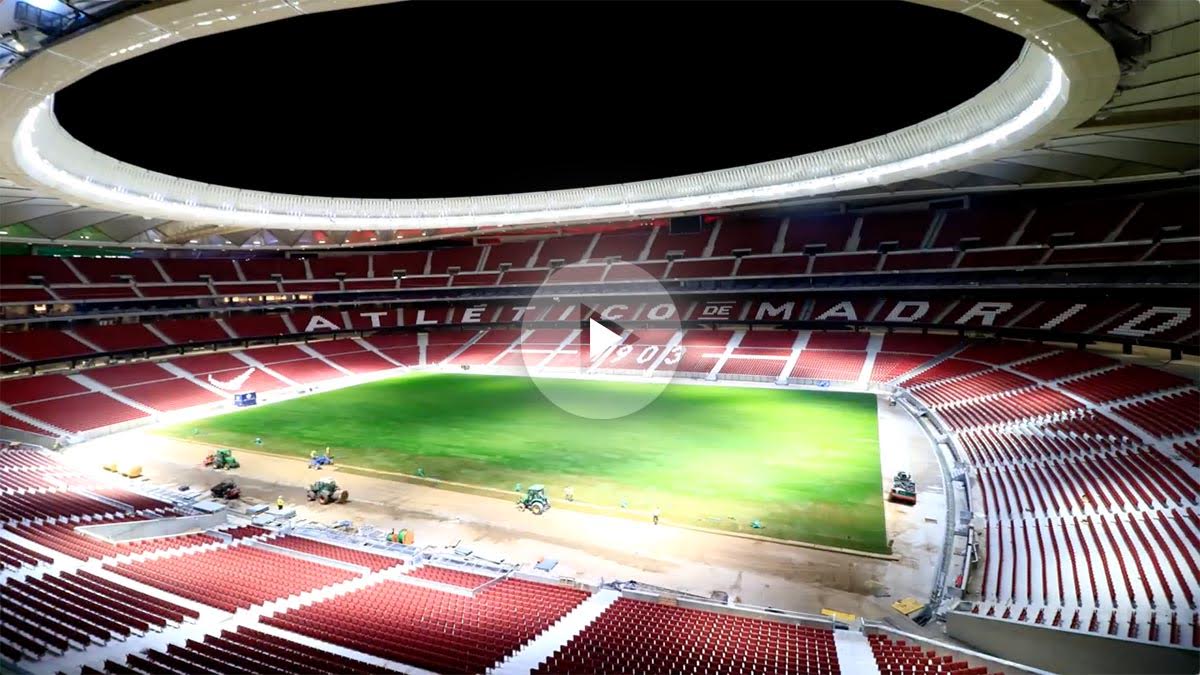 Así queda el césped del Wanda Metropolitano.