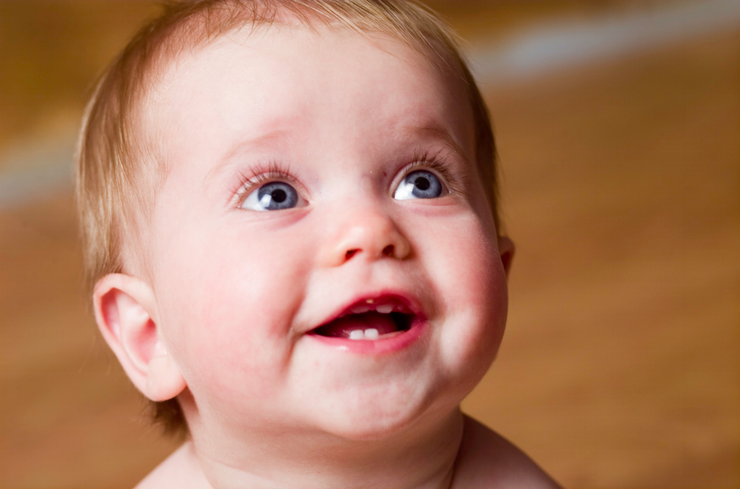 La dentición en el recién nacido. Todo lo que hay que saber