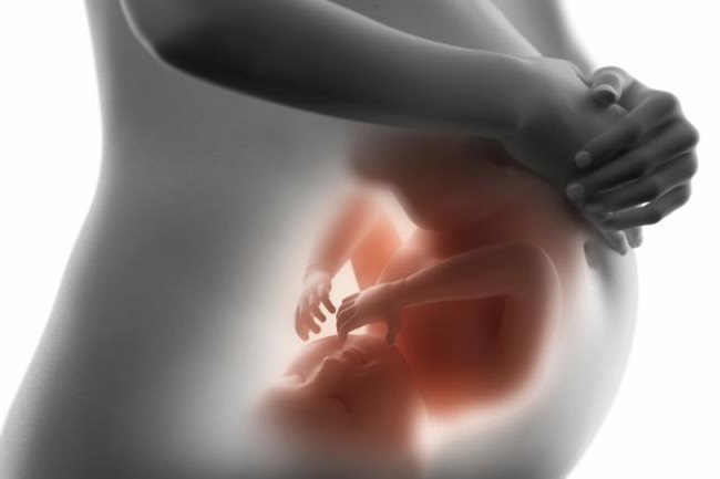 ¿Qué y cómo aprende el bebé en el vientre de su mamá?