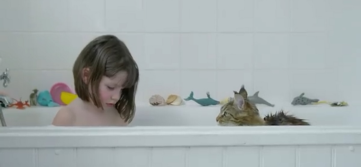 Tierno viral: la amistad entre una niña autista y su gato (VÍDEO)