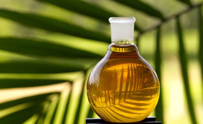 El aceite de palma. Todo lo que debes saber