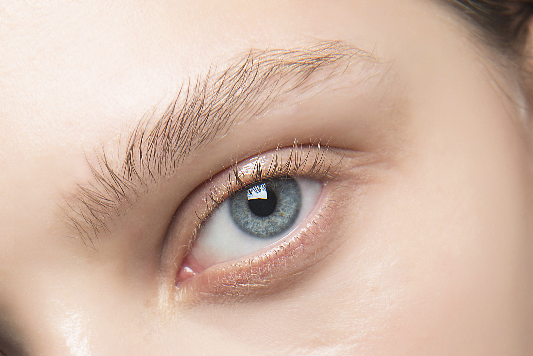 Cejas