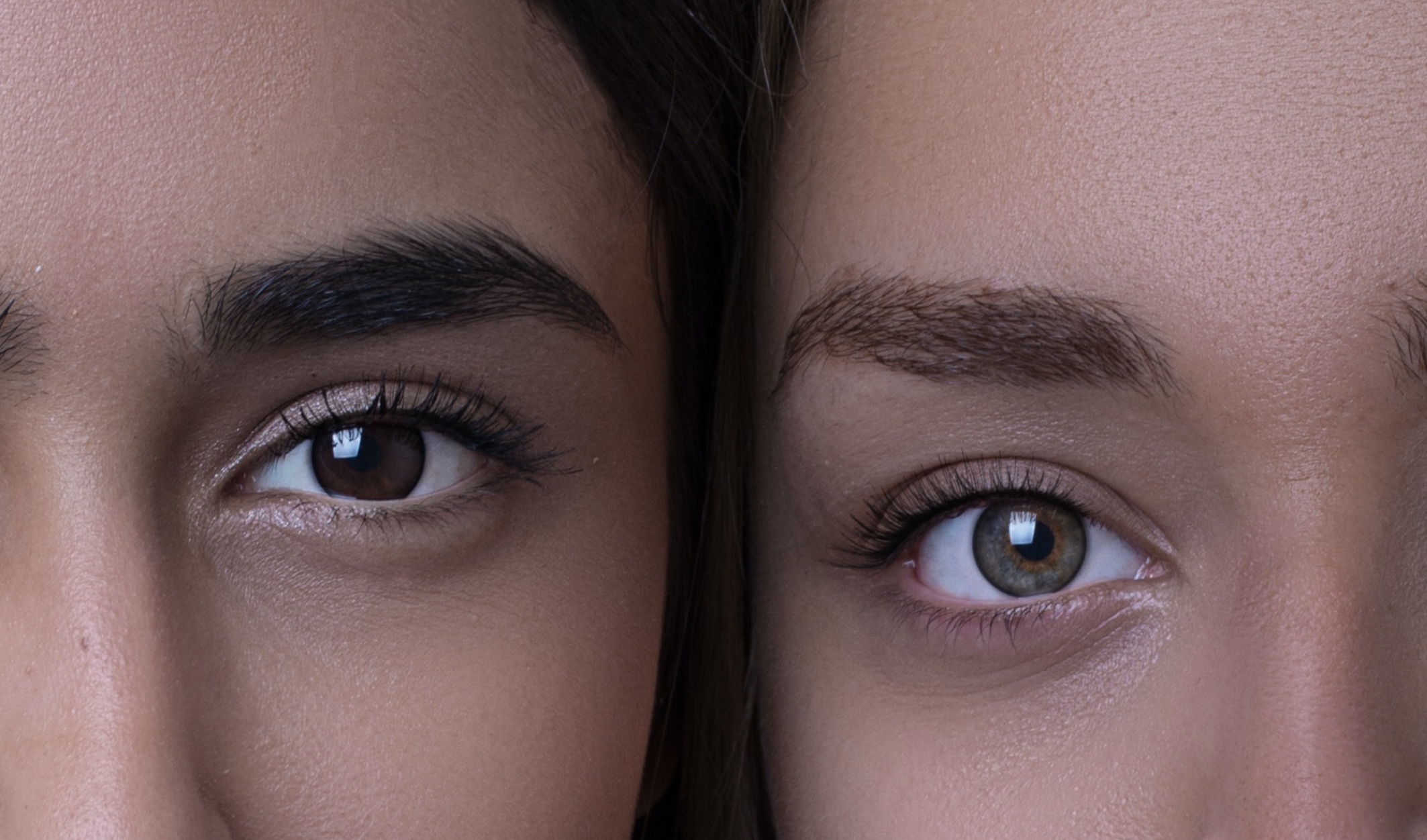 Cejas