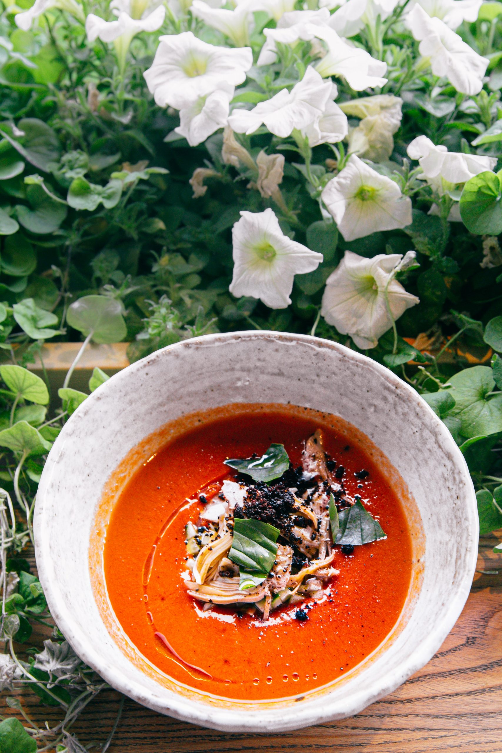 Gazpacho