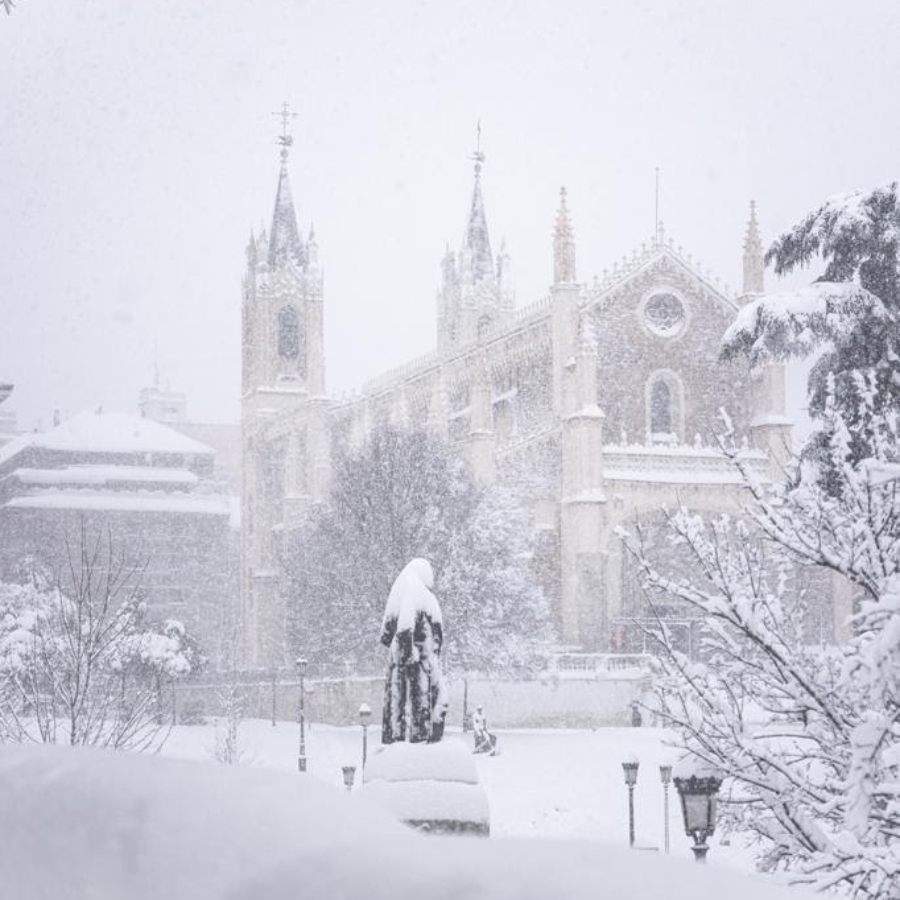 Nevada Madrid