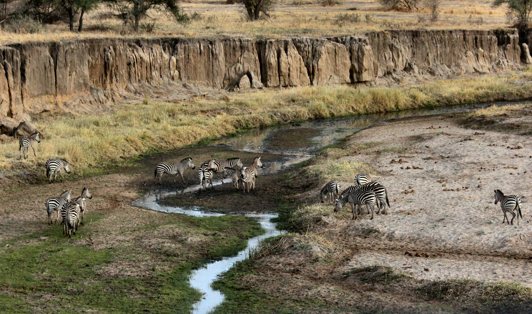 Tarangire National Park en Tanzania