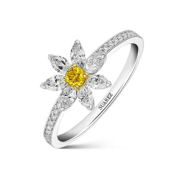 Joyas